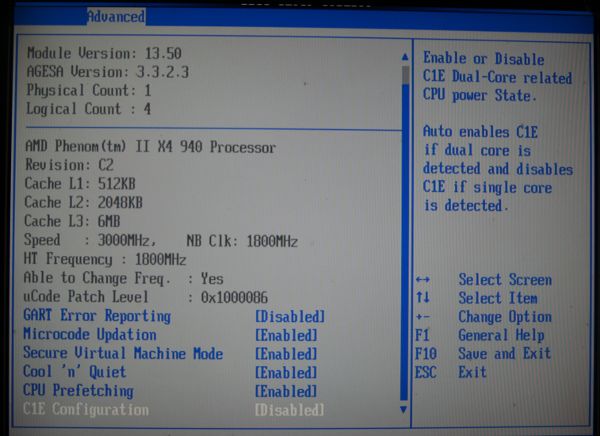 BIOS setup screen